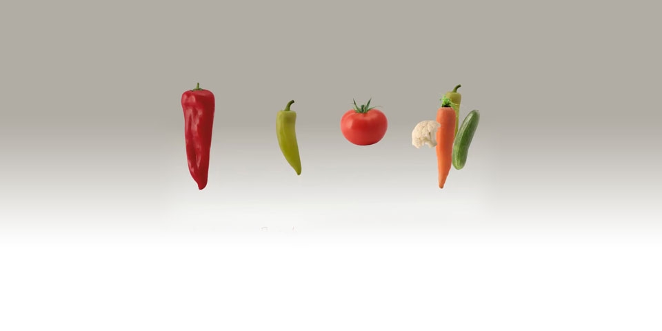 Μακεδονική Γη