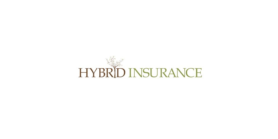 Hybrid Insurance